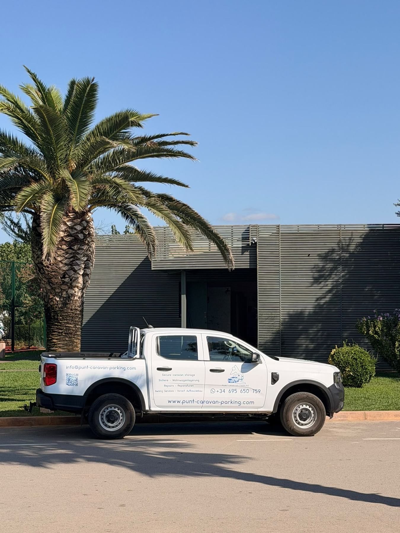 Punt pickup parked by a palm tree