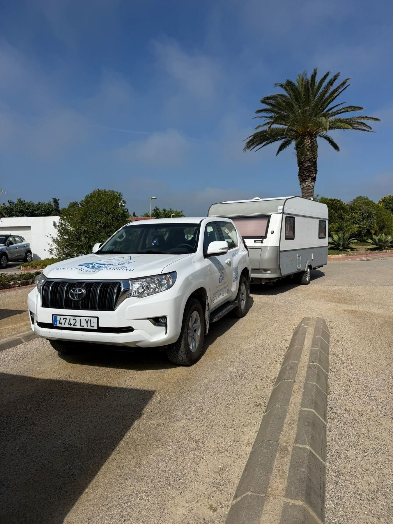 White Toyota 4x4 towing a caravan past a palm tree